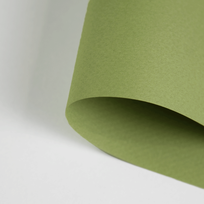 Papier-Canson-Mi-Teintes-A4-480-Light-Green_1.jpg