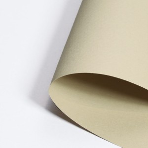 Papier-Canson-Mi-Teintes-A4-340-Oyster_1.jpg