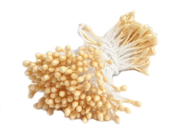 preciki-perlowe-do-kwiatow-bezowe-2mm.jpg