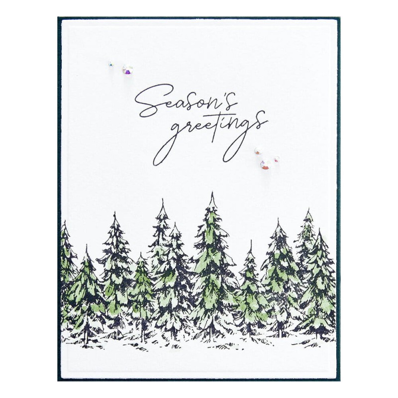 Plytka-do-tloczenia-spellbinders-seasons-greetings-evergreens-press-plate_3.jpg