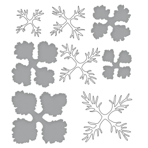 Wykrojniki+stemple-spellbinders-ornamental-cabbage-kale_1.jpg