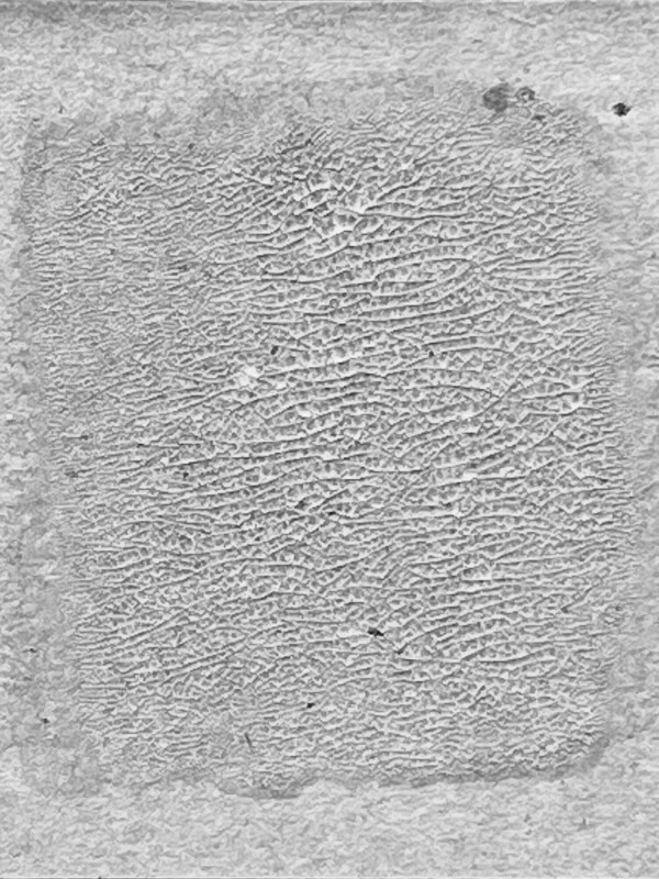 Farba-pekajaca-ranger-tim-holtz-distress-crackle-paint-translucent-tdc80411_1.jpg