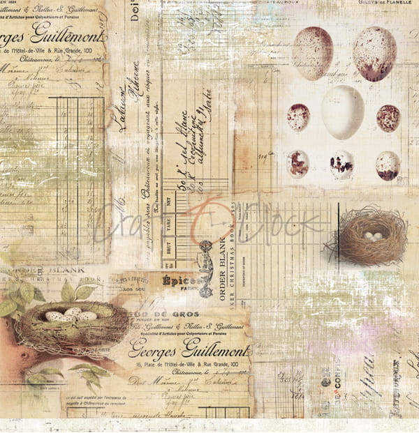 Hummingbird -01b.jpg