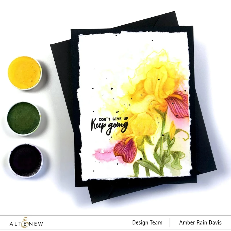 Farby-akwarelowe-watercolor-watercolor-essential-12-pan-set_1.jpg