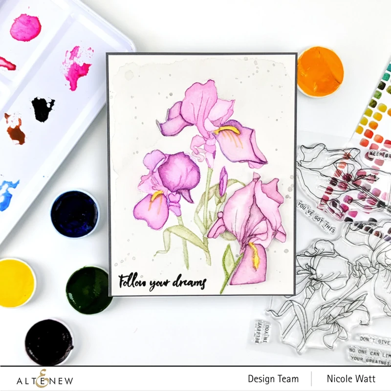 Farby-akwarelowe-watercolor-watercolor-essential-12-pan-set_2.jpg
