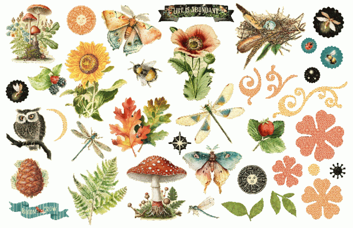 Zestaw-wycietych-elementow-graphic-45-life-is-abundant-ephemera-assortment-45_1.jpg