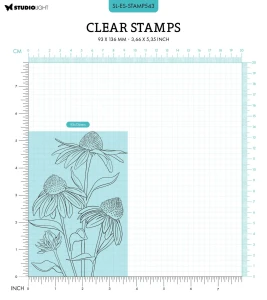 Stempel-studio-light-echinacea_2.jpg