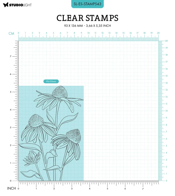 Stempel-studio-light-echinacea_2.jpg
