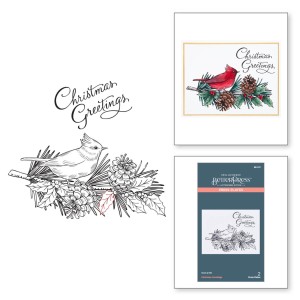 Plytka-do-tloczenia-spellbinders-christmas-greetings-press-plate-bp-071.jpg