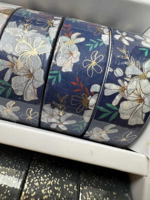 Tasma-washi-1425b.JPG
