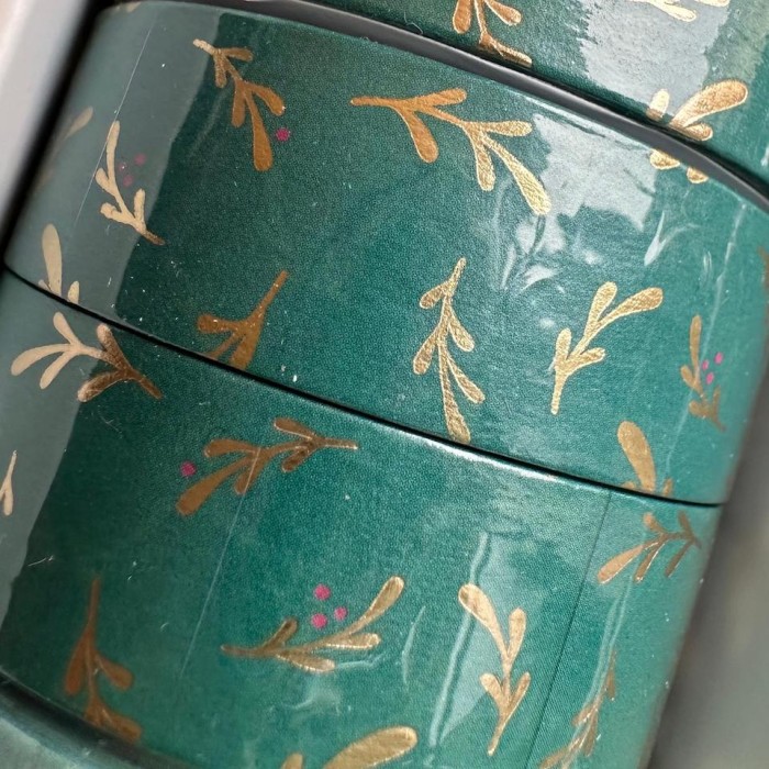 Tasma-washi-1439.jpg