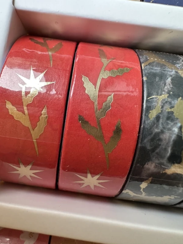 Tasma-washi-1429a.JPG