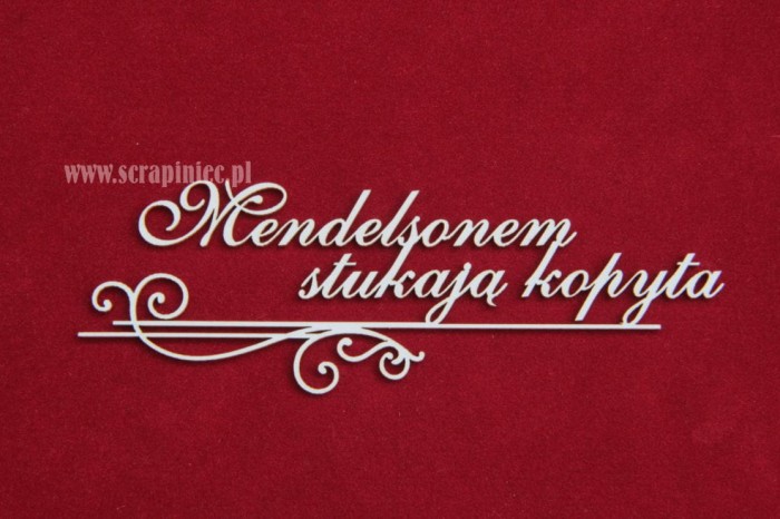 Napis Mendelsonem stukają...jpg