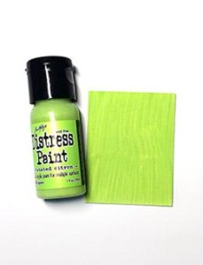 Farba-akrylowa-ranger-tim-holtz-distress-paints-flip-top-twisted-citron_1.jpg