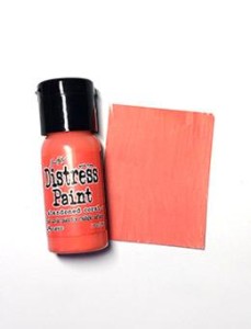 Farba-akrylowa-ranger-tim-holtz-distress-paints-flip-top-abandoned-coral_1.jpg