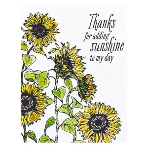 Plytka-do-tloczenia-spellbinders-sunflower-field-press-plate-bp-094_3.jpg