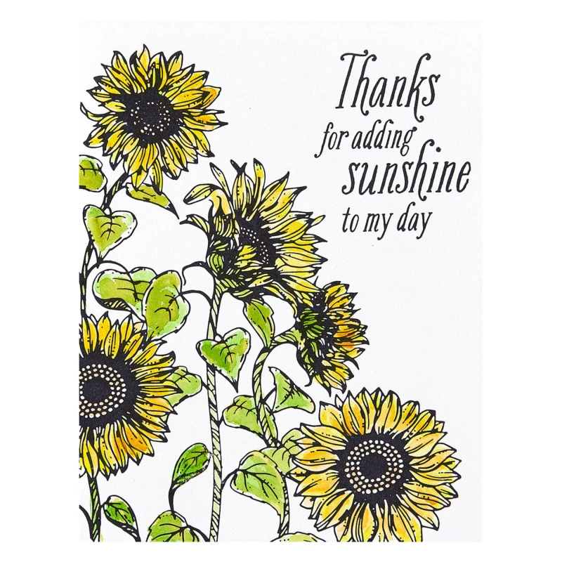 Plytka-do-tloczenia-spellbinders-sunflower-field-press-plate-bp-094_3.jpg