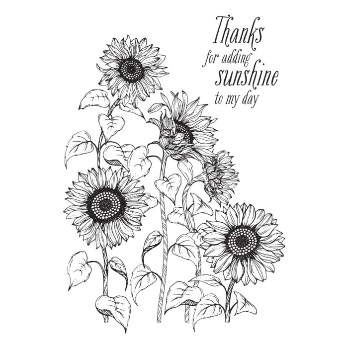 Plytka-do-tloczenia-spellbinders-sunflower-field-press-plate-bp-094_1.jpg