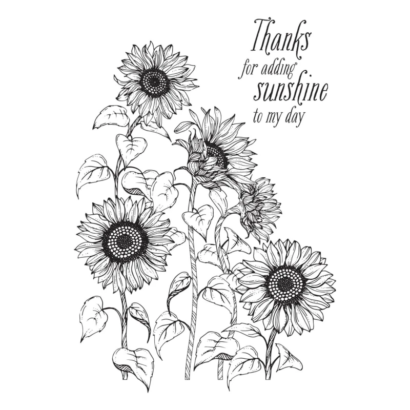 Plytka-do-tloczenia-spellbinders-sunflower-field-press-plate-bp-094_1.jpg