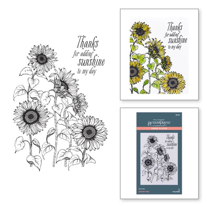 Plytka-do-tloczenia-spellbinders-sunflower-field-press-plate-bp-094.jpg