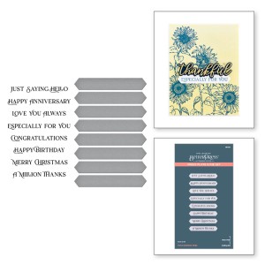 Plytka-do-tloczenia+wykrojnik-spellbinders-fancy-sentiment-strips-press-plate.jpg