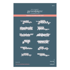 Plytka-do-tloczenia+wykrojnik-spellbinders-you-are-everything-sentiments-press-plate-bp-110_2.jpg