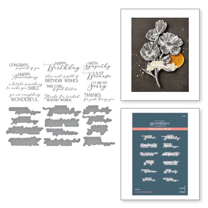 Plytka-do-tloczenia+wykrojnik-spellbinders-you-are-everything-sentiments-press-plate-bp-110.jpg