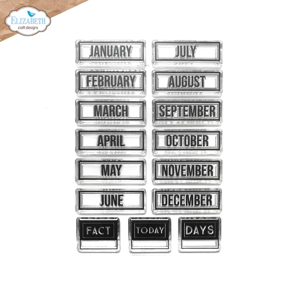 Stempel-Months-CS341.jpg