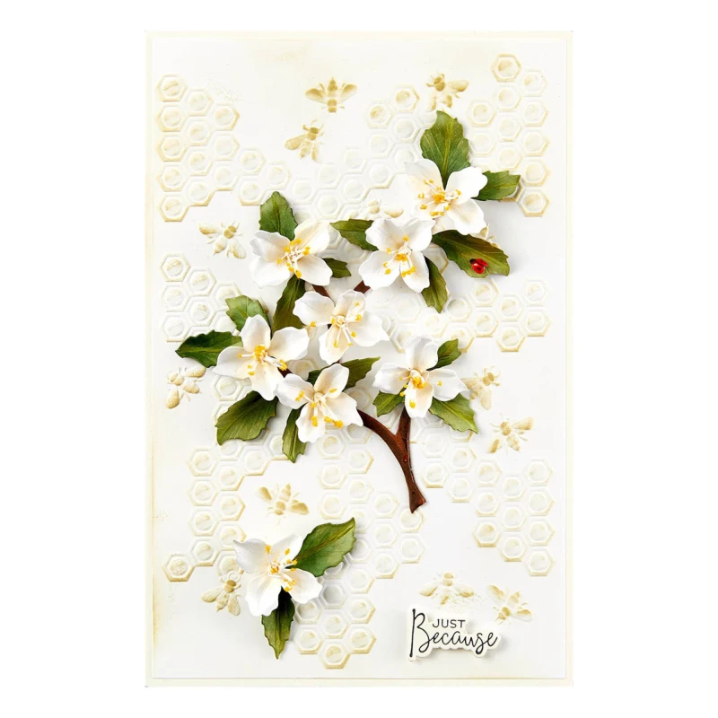Wykrojnik-spellbinders-mock-orange-etched-dies-s3-496_3.jpg