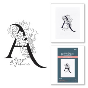 Plytka-do-tloczenia-spellbinders-every-occasion-floral-a-and-sentiment-press-plate-bp-124.jpg
