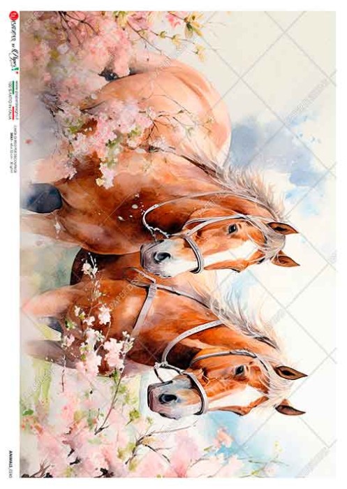 Papier-ryzowy-animals-0245-animals-rice-paper-for-decoupage_1.jpg