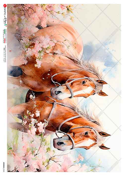 Papier-ryzowy-animals-0245-animals-rice-paper-for-decoupage_1.jpg