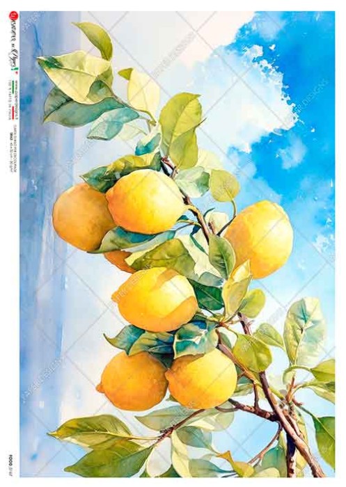 Papier-ryzowy-food-0167-food-rice-paper-for-decoupage.jpg