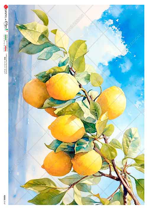 Papier-ryzowy-food-0167-food-rice-paper-for-decoupage.jpg