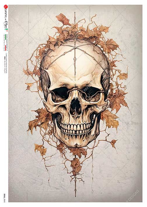 Papier-ryzowy-skull-0043-skull-rice-paper-for-decoupage.jpg