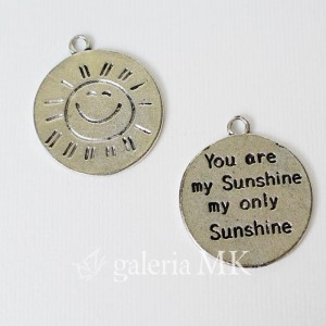 23-crop_www.JPG