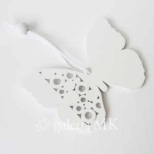30-crop_www.JPG