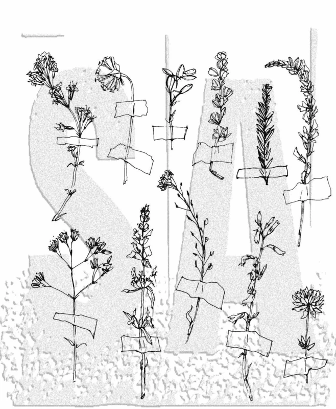 Stempel-stampers-anonymous-forgotten-garden-tim-holtz.jpg
