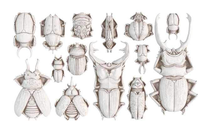 Foremka silikonowa Specimens 6x10 IOD 2.jpg