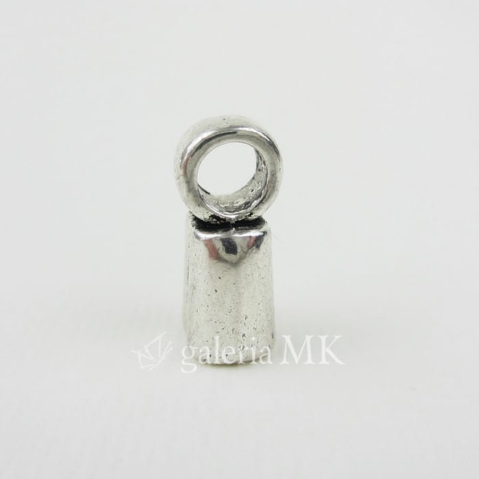 1127-crop_www.JPG
