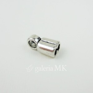 1128-crop_www.JPG