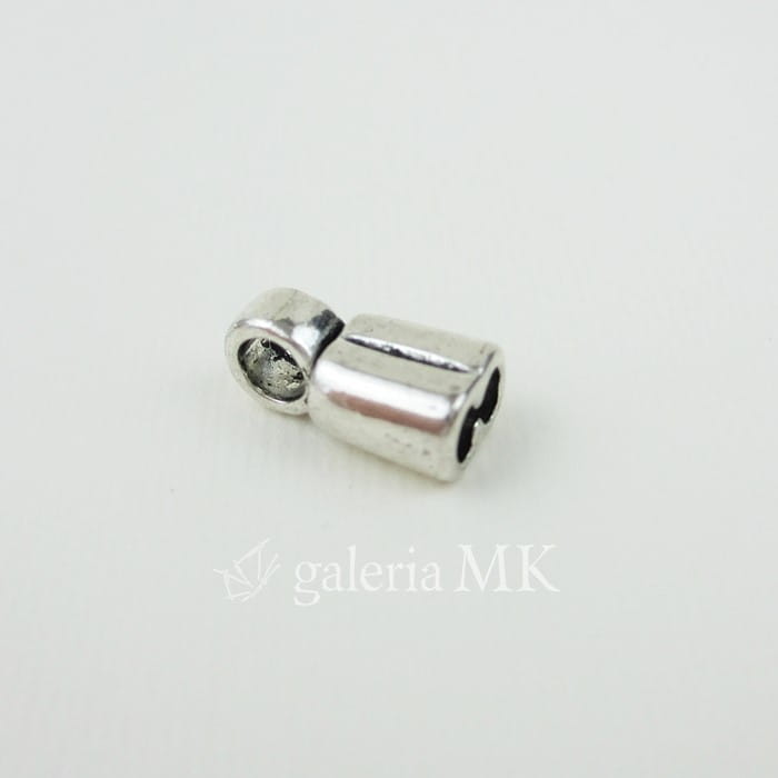 1128-crop_www.JPG