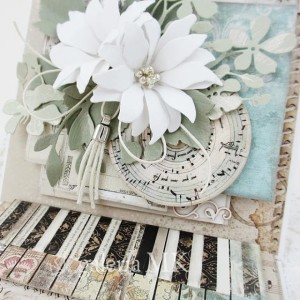 25-crop_www.JPG