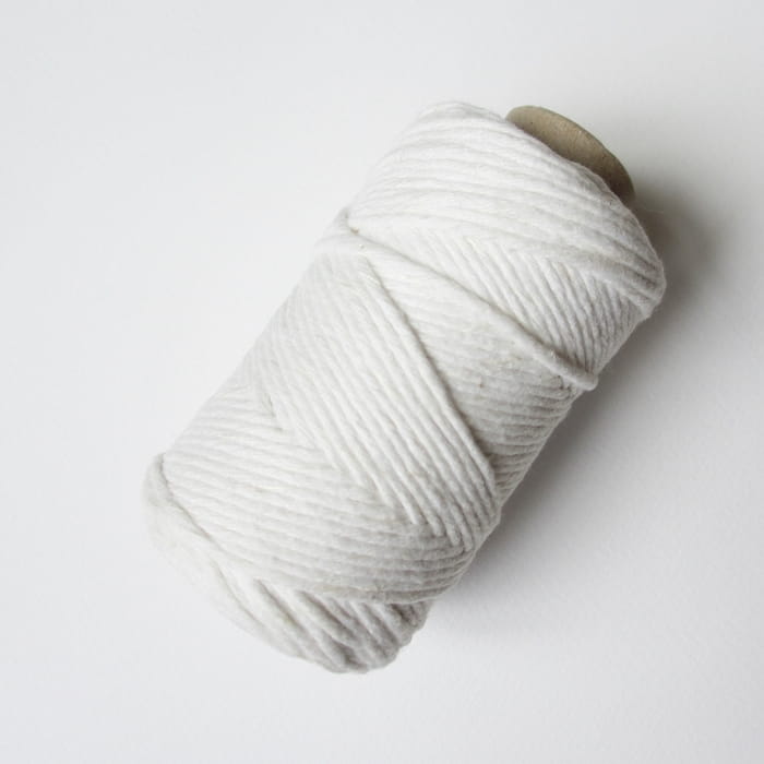1-crop_www.JPG