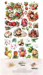 Zestaw-papierow-do-scrapbookingu-15x30-my-little-baby-AA-MLB-13.jpg