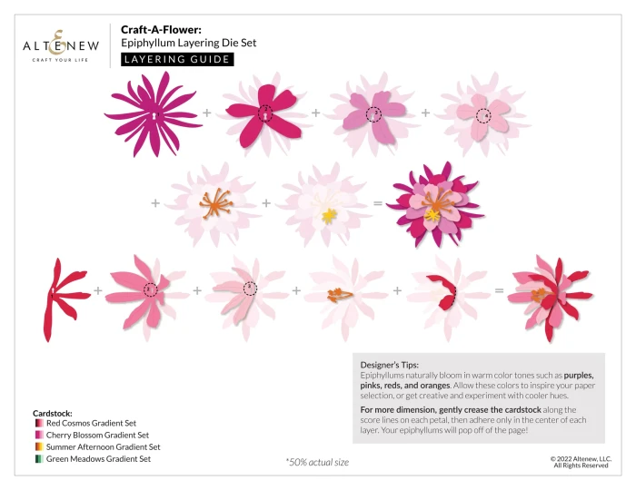 Wykrojnik-craft-a-flower-epiphyllum-layering-die-set_1.jpg