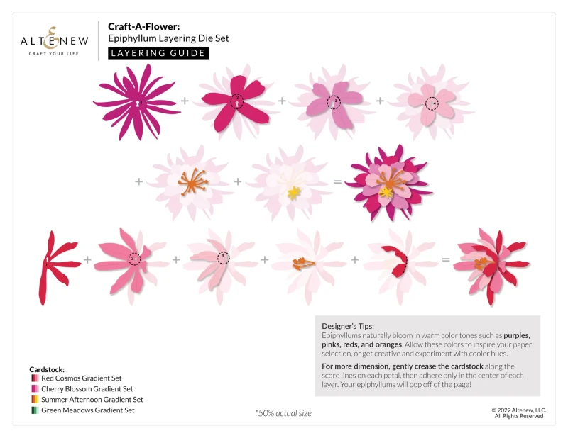 Wykrojnik-craft-a-flower-epiphyllum-layering-die-set_1.jpg
