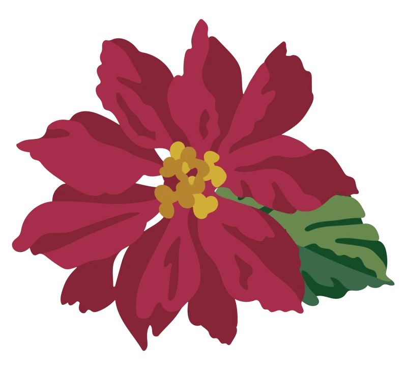 Wykrojnik-ldrs-creative-layered-poinsettia-dies-ldrs8256_2.jpg