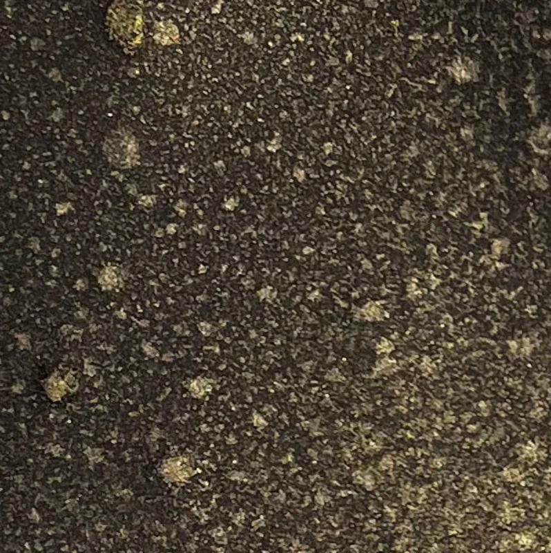 Pigment-lindys-stamp-gang-pixie-dust-magical-shaker_2.jpg