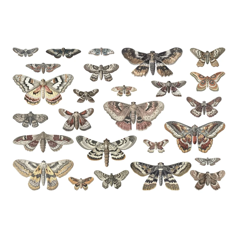 Dodatki-idea-ology-tim-holtz-halloween-transparencies-moths-th94403_1.jpg